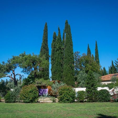 阿爾勒 Vintage Provence酒店 客房 照片
